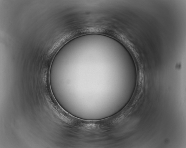 X0000116370153200912161446