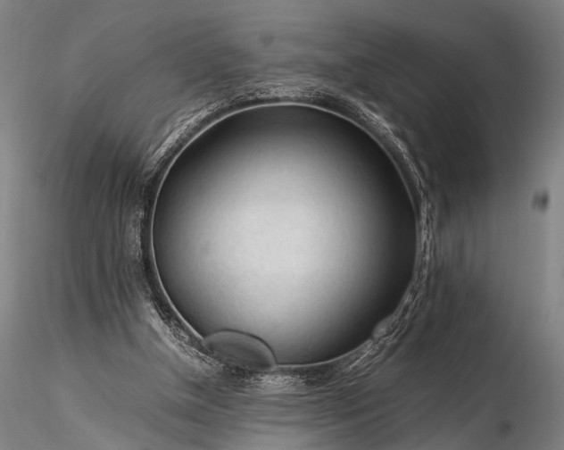 X0000116370154200912161446