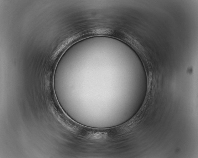 X0000116370155200912161446