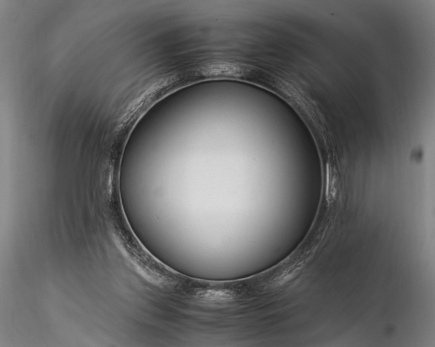 X0000116370157200912161446