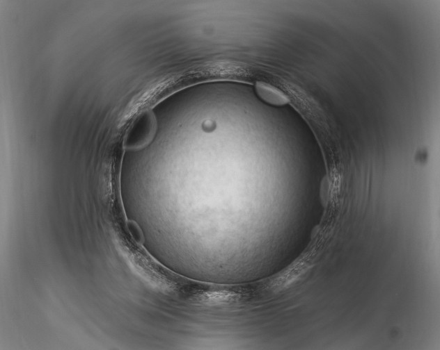 X0000116370158200912161446