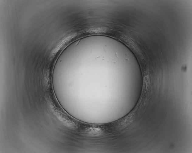 X0000116370159200912161446