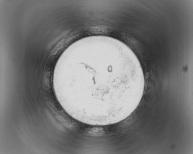 X0000116370162200912161446