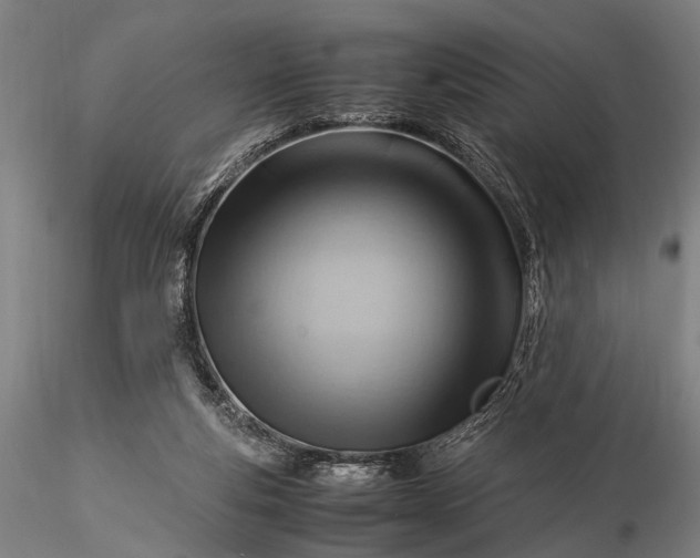 X0000116370163200912161446