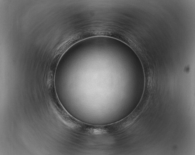 X0000116370165200912161446