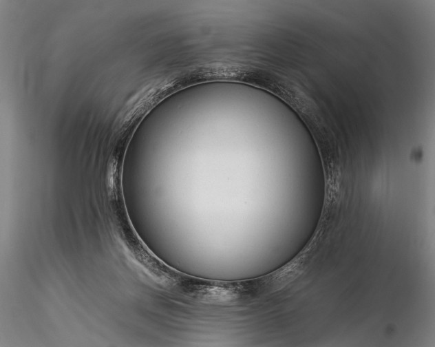 X0000116370166200912161446