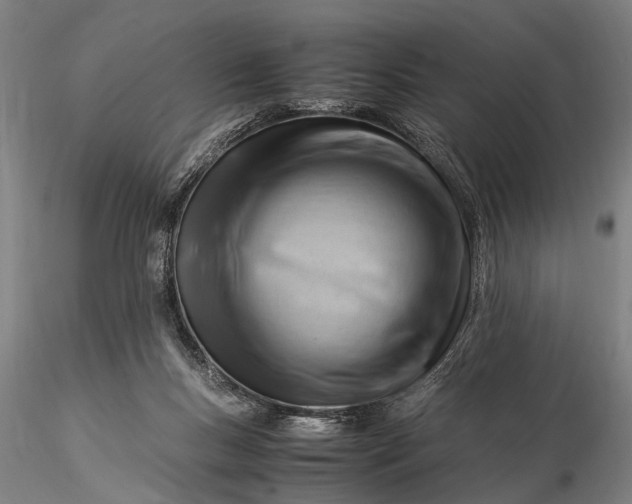 X0000116370167200912161446