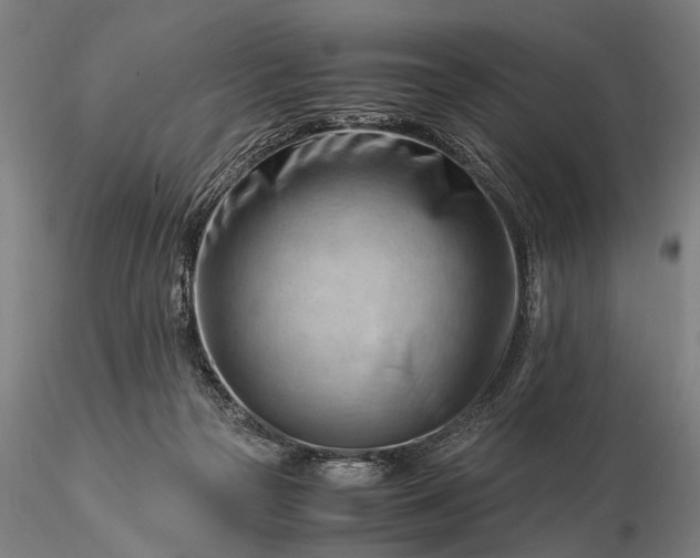 X0000116370169200912161446