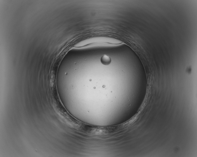 X0000116370174200912161446