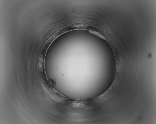 X0000116370175200912161446