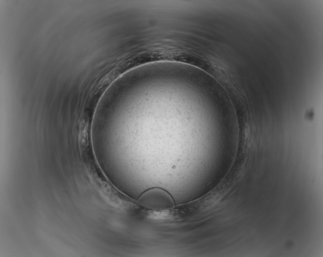 X0000116370177200912161446