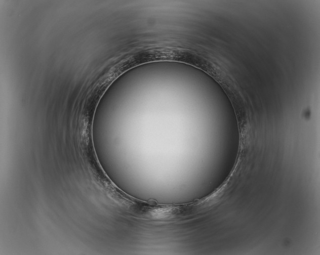 X0000116370178200912161446