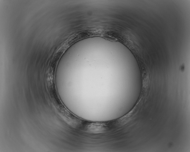 X0000116370179200912161446