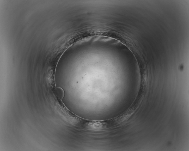 X0000116370181200912161446