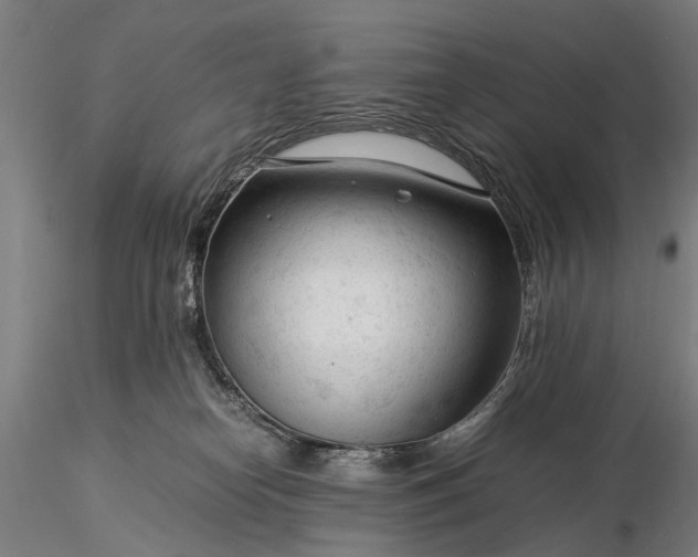 X0000116370182200912161446