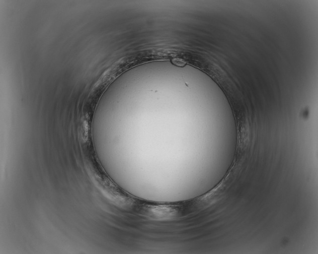 X0000116370183200912161446