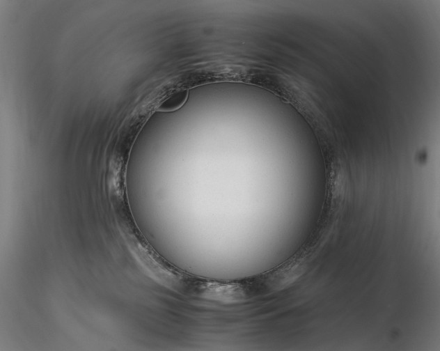 X0000116370185200912161446