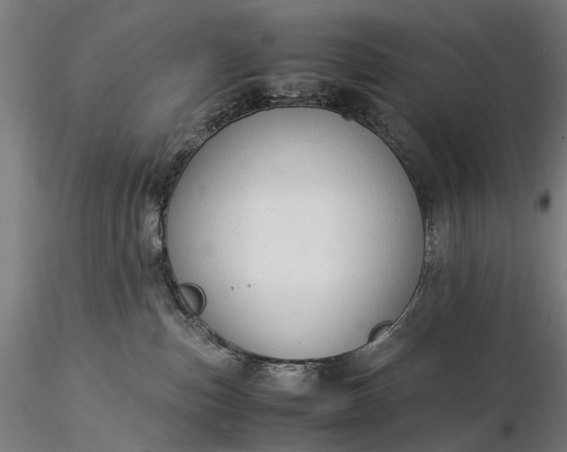 X0000116370187200912161446