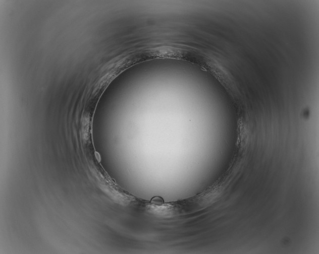 X0000116370189200912161446