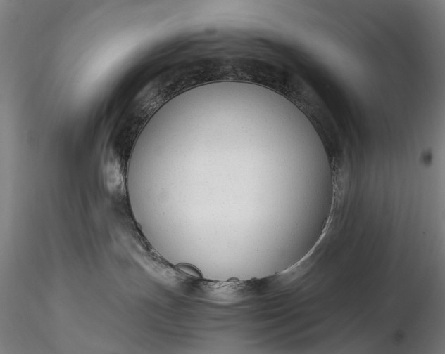 X0000116370191200912161446