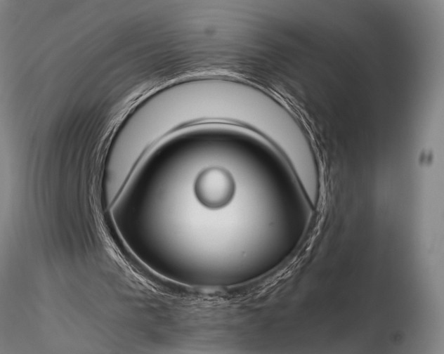 X0000116370193200912161446