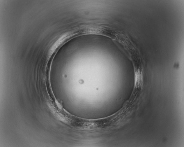 X0000116370195200912161446