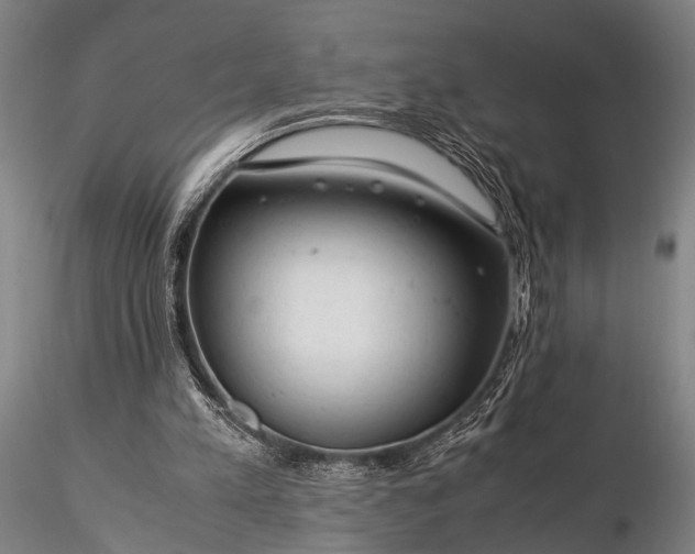 X0000116370197200912161446