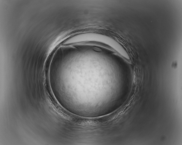 X0000116370198200912161446