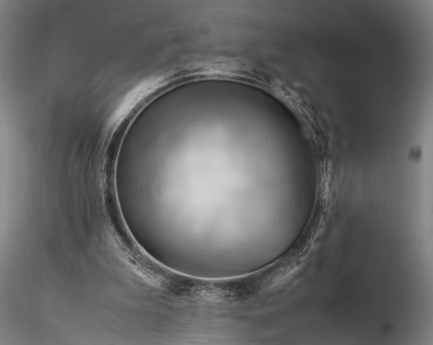 X0000116370199200912161446