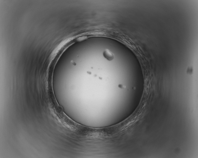 X0000116370200200912161446