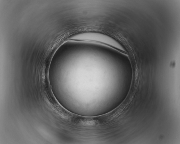 X0000116370202200912161446