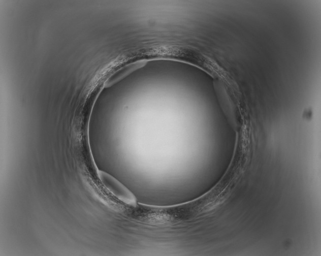 X0000116370203200912161446