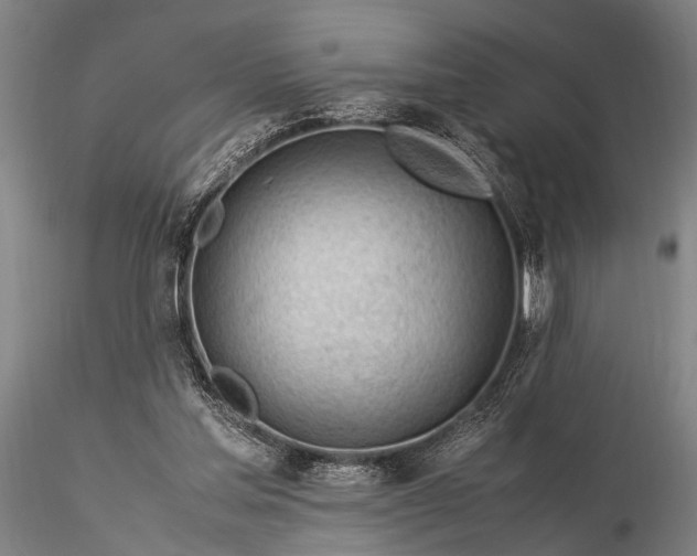 X0000116370205200912161446