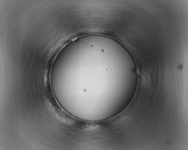 X0000116370206200912161446