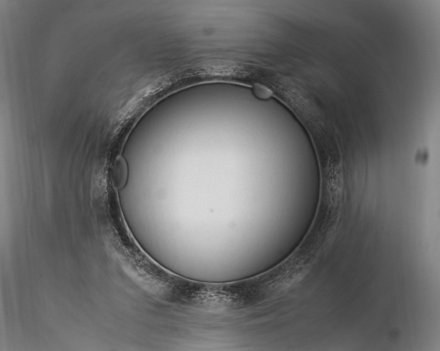 X0000116370207200912161446