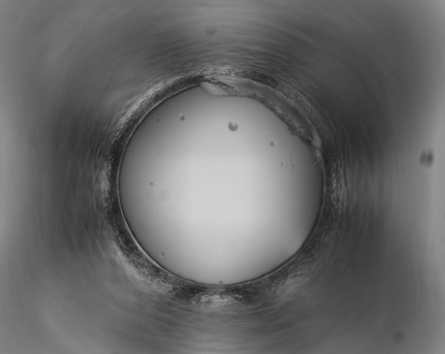 X0000116370208200912161445