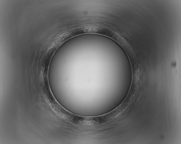 X0000116370209200912161445