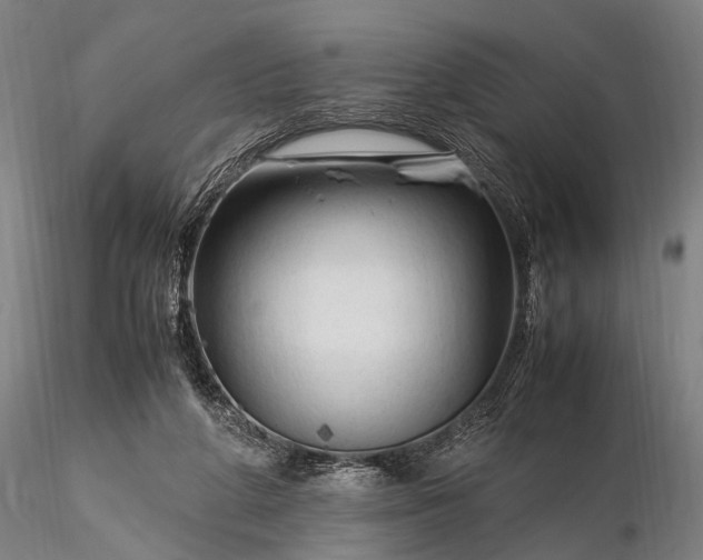 X0000116370210200912161445