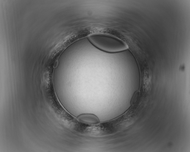 X0000116370211200912161445