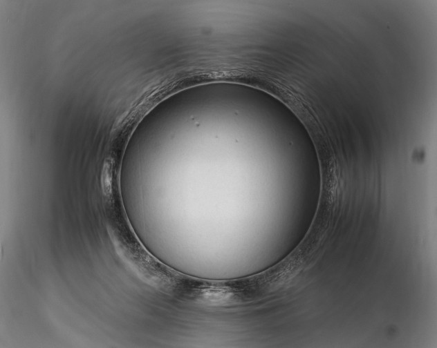 X0000116370214200912161445