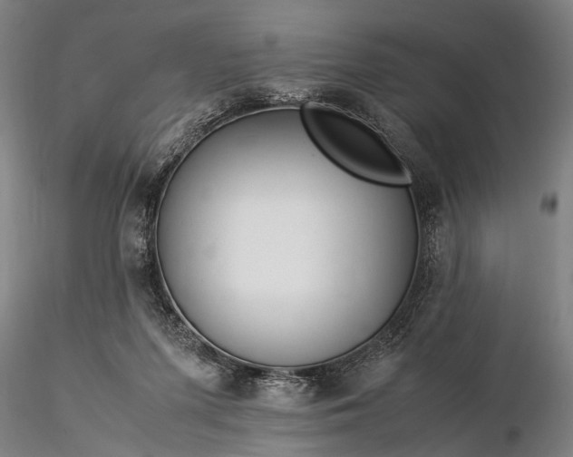 X0000116370215200912161445