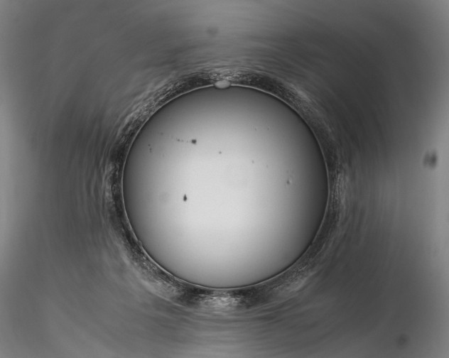 X0000116370217200912161445