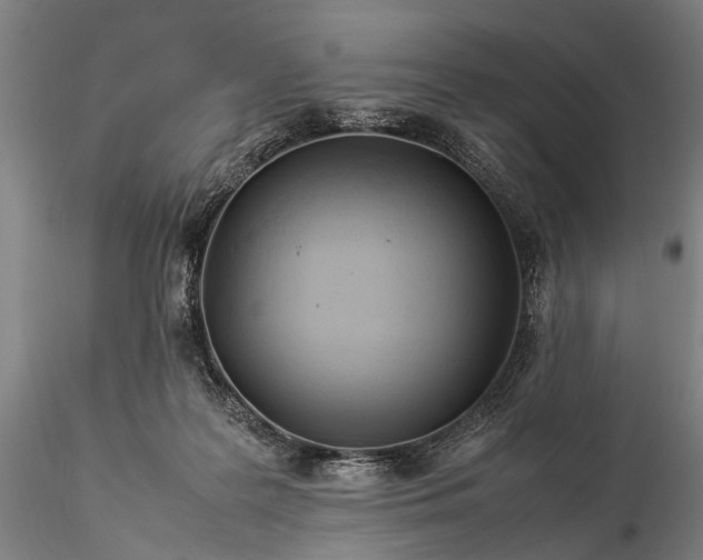 X0000116370219200912161445