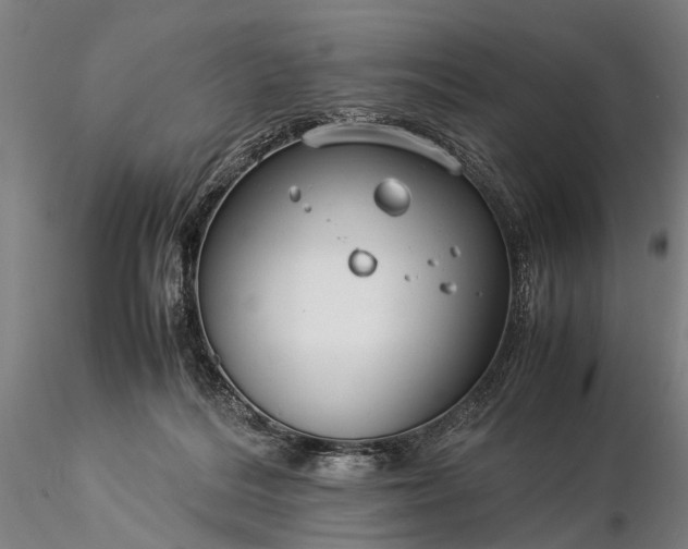 X0000116370220200912161445