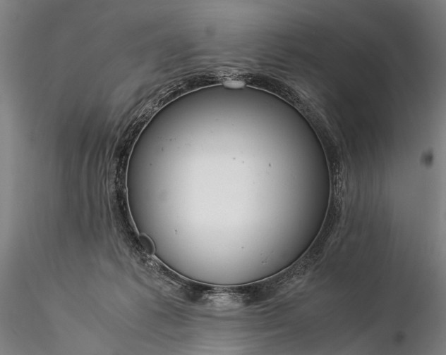 X0000116370221200912161445