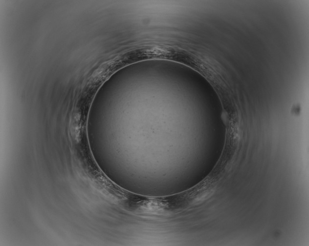 X0000116370223200912161445