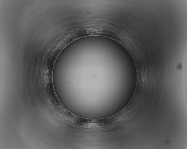 X0000116370224200912161445