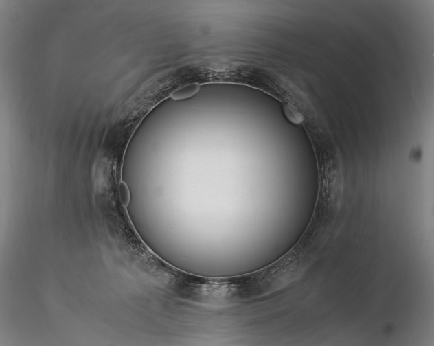 X0000116370225200912161445