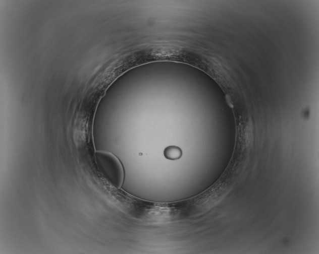 X0000116370227200912161445