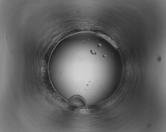 X0000116370228200912161445